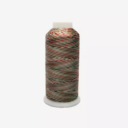 Filo da ricamo in rayon 120D/2 1000M